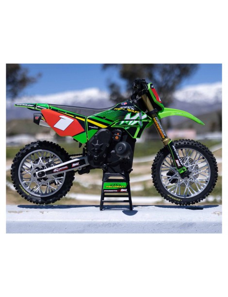 Losi Promoto-MX 1:4 RTR Pro Circuit