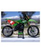 Losi Promoto-MX 1:4 RTR Pro Circuit
