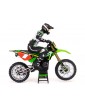 Losi Promoto-MX 1:4 RTR Pro Circuit