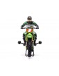 Losi Promoto-MX 1:4 RTR Pro Circuit