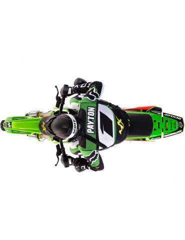 Losi Promoto-MX 1:4 RTR Pro Circuit