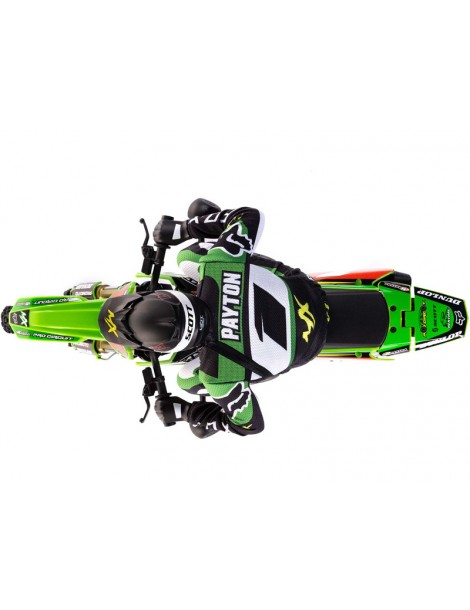 Losi Promoto-MX 1:4 RTR Pro Circuit