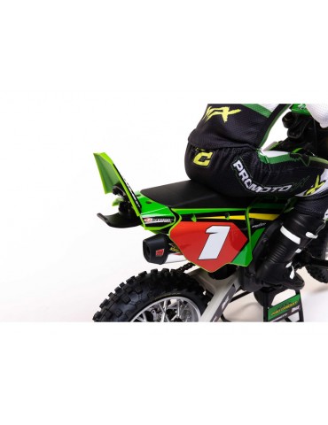 Losi Promoto-MX 1:4 RTR Pro Circuit