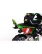 Losi Promoto-MX 1:4 RTR Pro Circuit