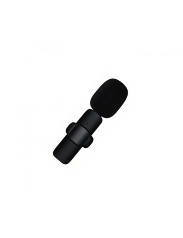 2-in-1 Type-C Lavalier Wireless Microphone (With Battery)