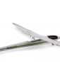 E-flite Conscendo 0.80m SAFE Select BNF Basic