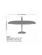 E-flite Conscendo 0.80m SAFE Select BNF Basic
