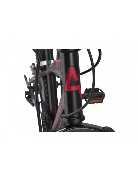 DINO Bikes - Children's bike 20" Aurelia black