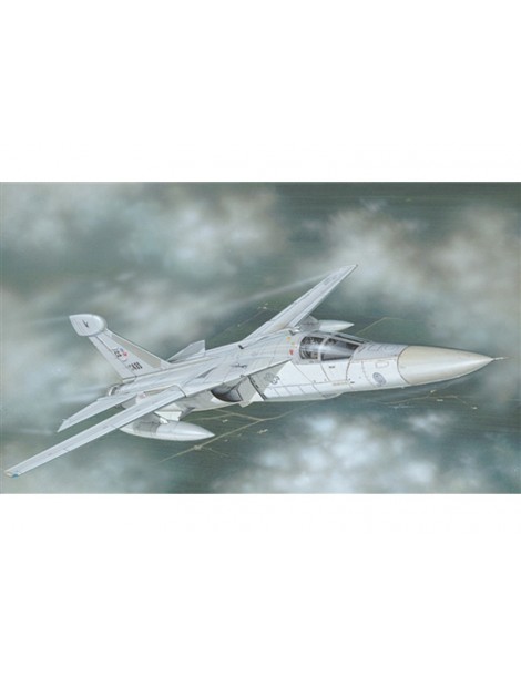 Italeri Grumman EF-111 A Raven (1:72)