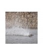 Proboat Recoil 2 18" BL RTR Heatwave