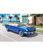 Revell Ford Mustang 60th Anniversary (1:24) (dovanų rinkinys)