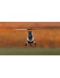 Blade Eclipse 360 AS3S SAFE BNF Basic