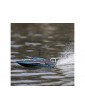 Proboat Recoil 2 18" BL RTR Shreddy