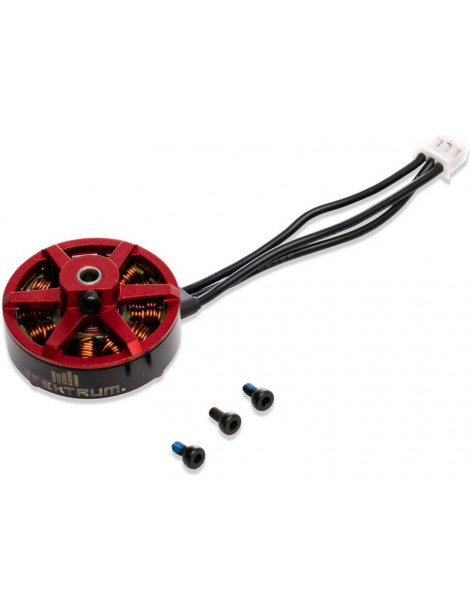 Spektrum 2305 - 1300Kv Brushless Main Motor