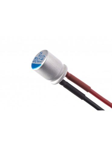 Capacitors Module for XR10 Stock Spec