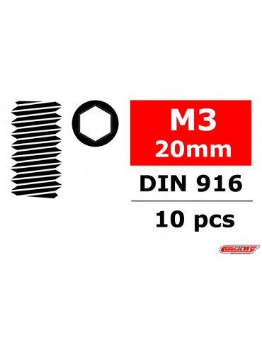 Plieniniai medsraigčiai M3 x 20 mm - šešiakampiai - 10 vnt.