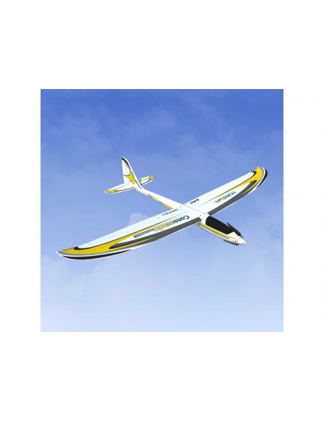 RealFlight Trainer Edition RC Flight Simulator with WS2000 Wireless Simulator USB Dongle