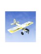 RealFlight Trainer Edition RC Flight Simulator with WS2000 Wireless Simulator USB Dongle