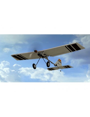 RealFlight Trainer Edition RC Flight Simulator with WS2000 Wireless Simulator USB Dongle