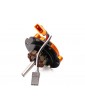 Spektrum Promoto-Mx Stator / ESC Assembly