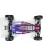Pro-Line Kėbulas 1/10 Sector Light Weight: TLR 22 5.0