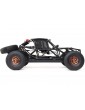 Losi Super Lasernut U4 Rock Racer RTR