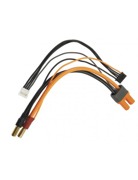 Spektrum Adapter: IC5 Battery / 5mm Male Bullets with 6" wire: 2S/4S Smart Pro Race Batteries