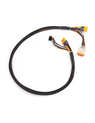 Spektrum Charge Lead with Balance Extension 24" IC3, 2-6S