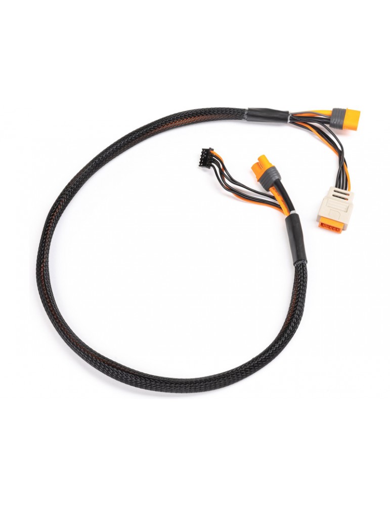 Spektrum Charge Lead with Balance Extension 24" IC3, 2-6S
