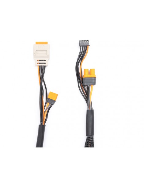 Spektrum Charge Lead with Balance Extension 24" IC5, 2-6S