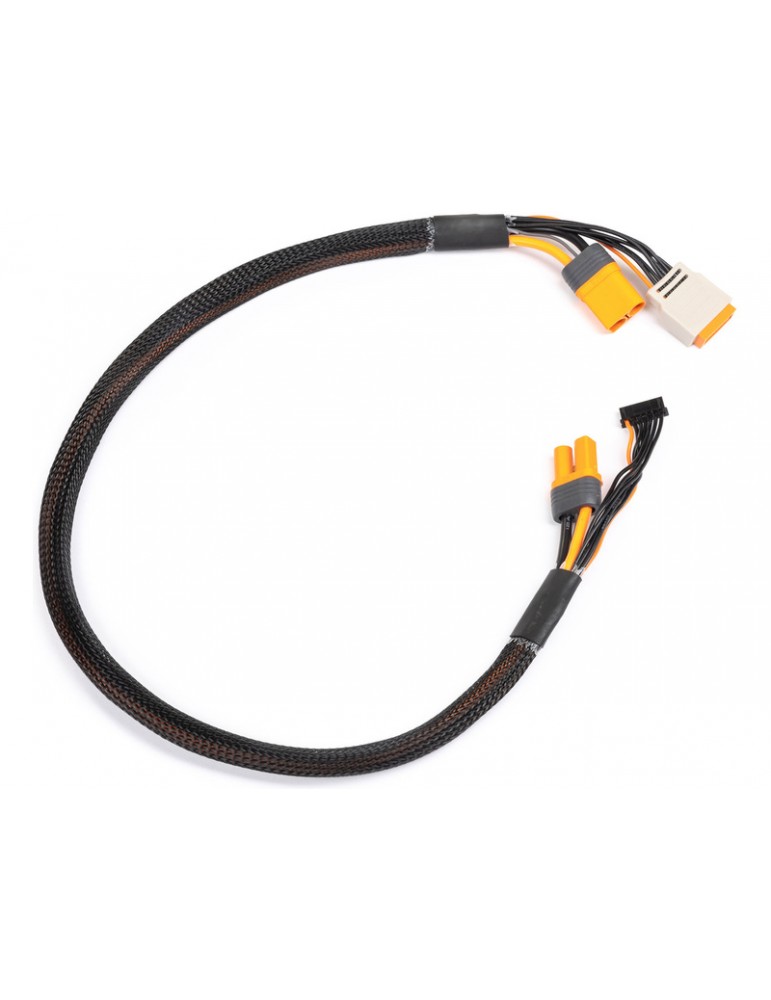 Spektrum Charge Lead with Balance Extension 24" IC5, 2-4S