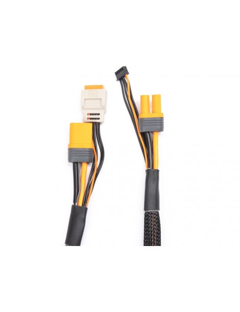 Spektrum Charge Lead with Balance Extension 24" IC5, 2-4S