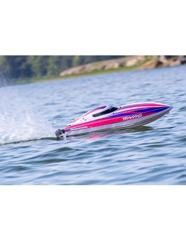 Traxxas Disruptor 4S RTR pink