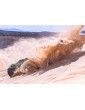 Traxxas Mini Maxx 1:12 BL-2s RTR Žalia