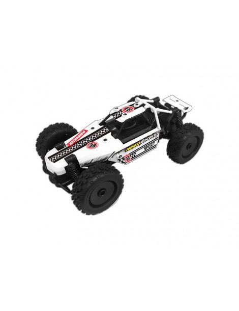 NINCORACERS Stream 3 in 1 2,4 GHz RTR rinkinys