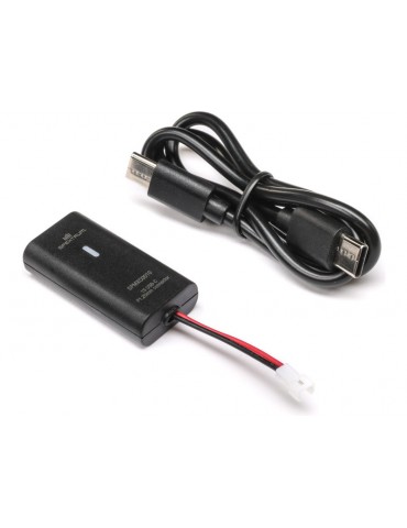 Spektrum 1S PH1.25 2 kontaktų USB-C 500mAh įkroviklis