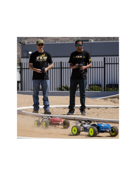 1/8 8IGHT-XTE 4WD Sensored Brushless Racing Truggy RTR