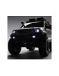 RC modelis Axial 1/24 SCX24 Lexus GX 470 4WD RTR Juoda