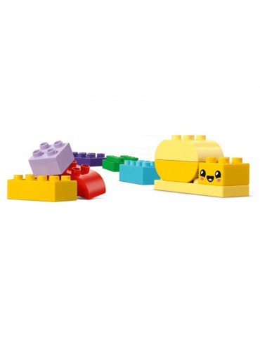 LEGO DUPLO - Kūrybinis sodas ir gėlės