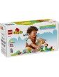 LEGO DUPLO - Kūrybinis sodas ir gėlės
