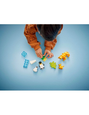 LEGO DUPLO - Wild Animal Families: Penguins & Lions