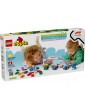 LEGO DUPLO - F1 Team Race Cars & Drivers