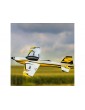 E-flite Sportix 1.1m AS3X SAFE Select BNF Basic