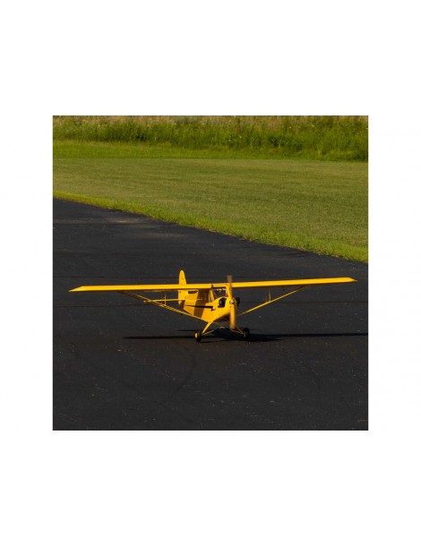 Hangar 9 J-3 Cub 10cc ARF, 82.5"