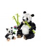 LEGO Creator - Laukiniai gyvūnai: pandų šeima