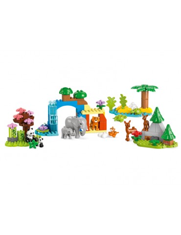 LEGO DUPLO - Laukinių gyvūnų šeimos „trys viename“