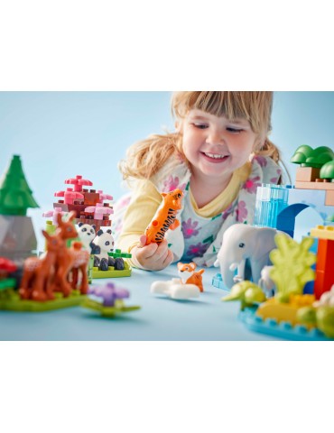LEGO DUPLO - Laukinių gyvūnų šeimos „trys viename“