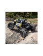 RC modelis Axial 1/18 Capra 4WS RTR Geltona