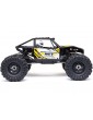 RC modelis Axial 1/18 Capra 4WS RTR Geltona