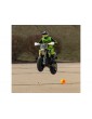 Losi 1/4 Promoto-SM RTR FXR